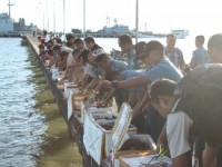 Pemerintah Gagalkan Penyelundupan 55 Box Kepiting Bertelur di Tarakan