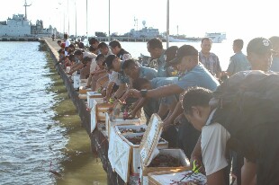 Pemerintah Gagalkan Penyelundupan 55 Box Kepiting Bertelur di Tarakan