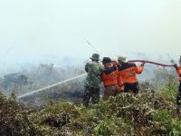 PKS Serukan Mobilisasi Bantuan dan Shalat Istisqa Nasional