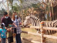 Royal Safari Garden Liburan Dengan Edukasi Satwa