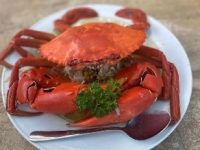 7seafood Resto Bali Crayfish, Restoran Live Seafood Dengan banyak Menu Andalan