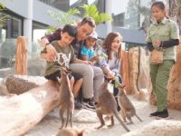 Aktivitas bermain dan edukasi Liburan Sekolah di Royal Safari Garden