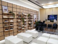 Strategi Allbirds di Pasar Indonesia: Jawab Kebutuhan Konsumen Muda yang Peduli Fashion dan Keberlanjutan