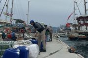 Armada Global Sumud Flotilla Singgah di Marmaris, Aktivis dari 50 Negara Bersiap Lanjutkan Misi ke Gaza