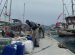 Armada Global Sumud Flotilla Singgah di Marmaris, Aktivis dari 50 Negara Bersiap Lanjutkan Misi ke Gaza