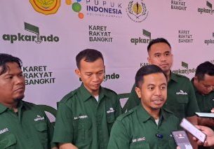 APKARINDO Desak Pemerintah Bentuk BPDP untuk Selamatkan Petani Karet